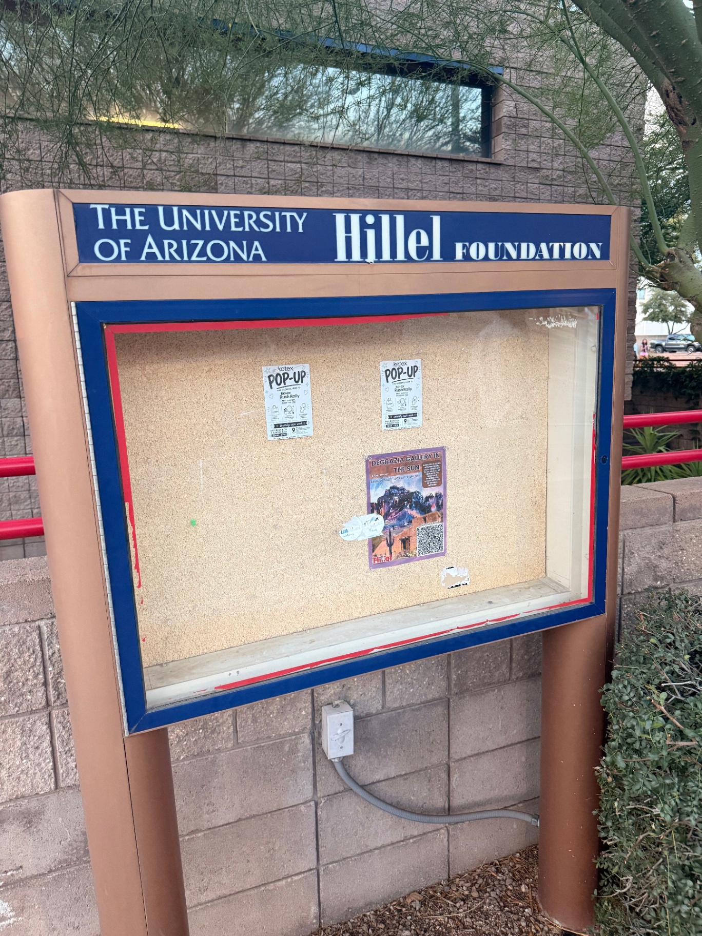 Kotex Rush Rally flyers distributed and posted around the University of Arizona campus